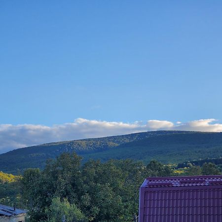 Gogi'S Paradise Guesthouse Akhmeta Kültér fotó